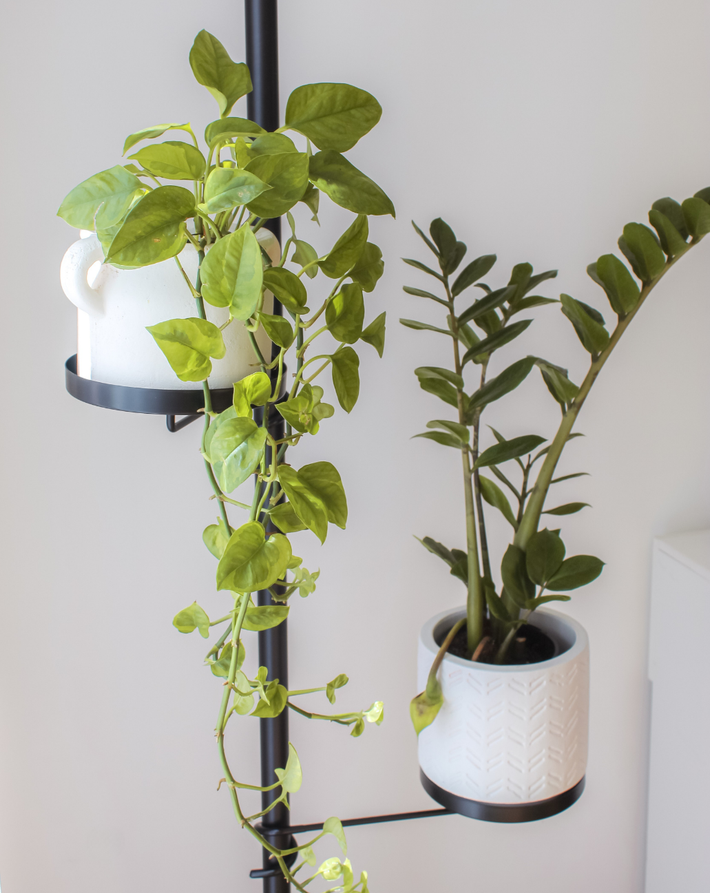 Trays Tension Plant Stand