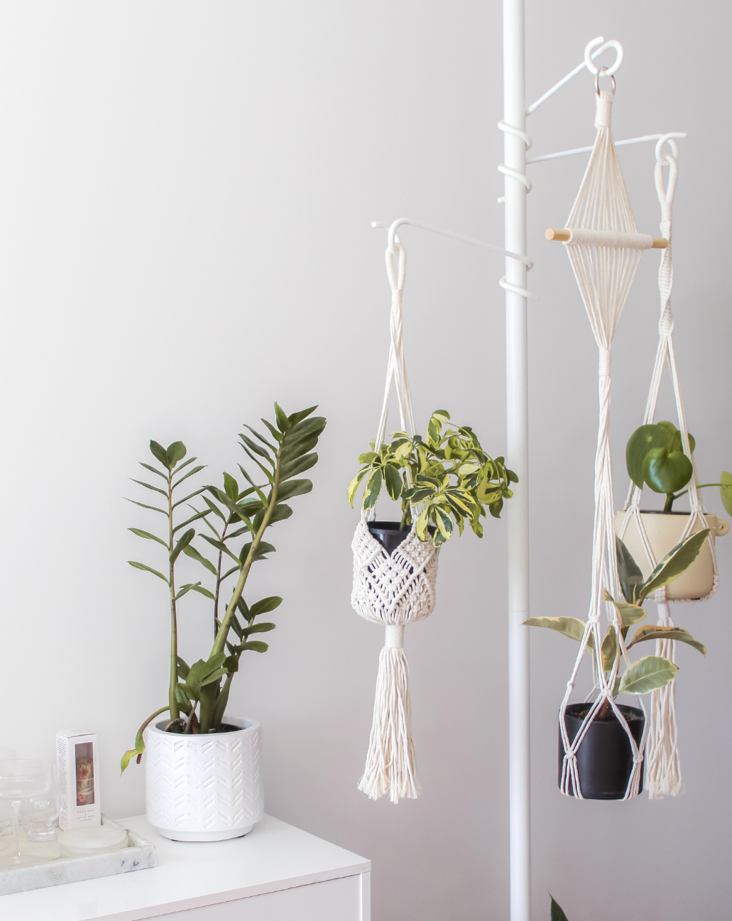 Hooks Tension Plant Stand