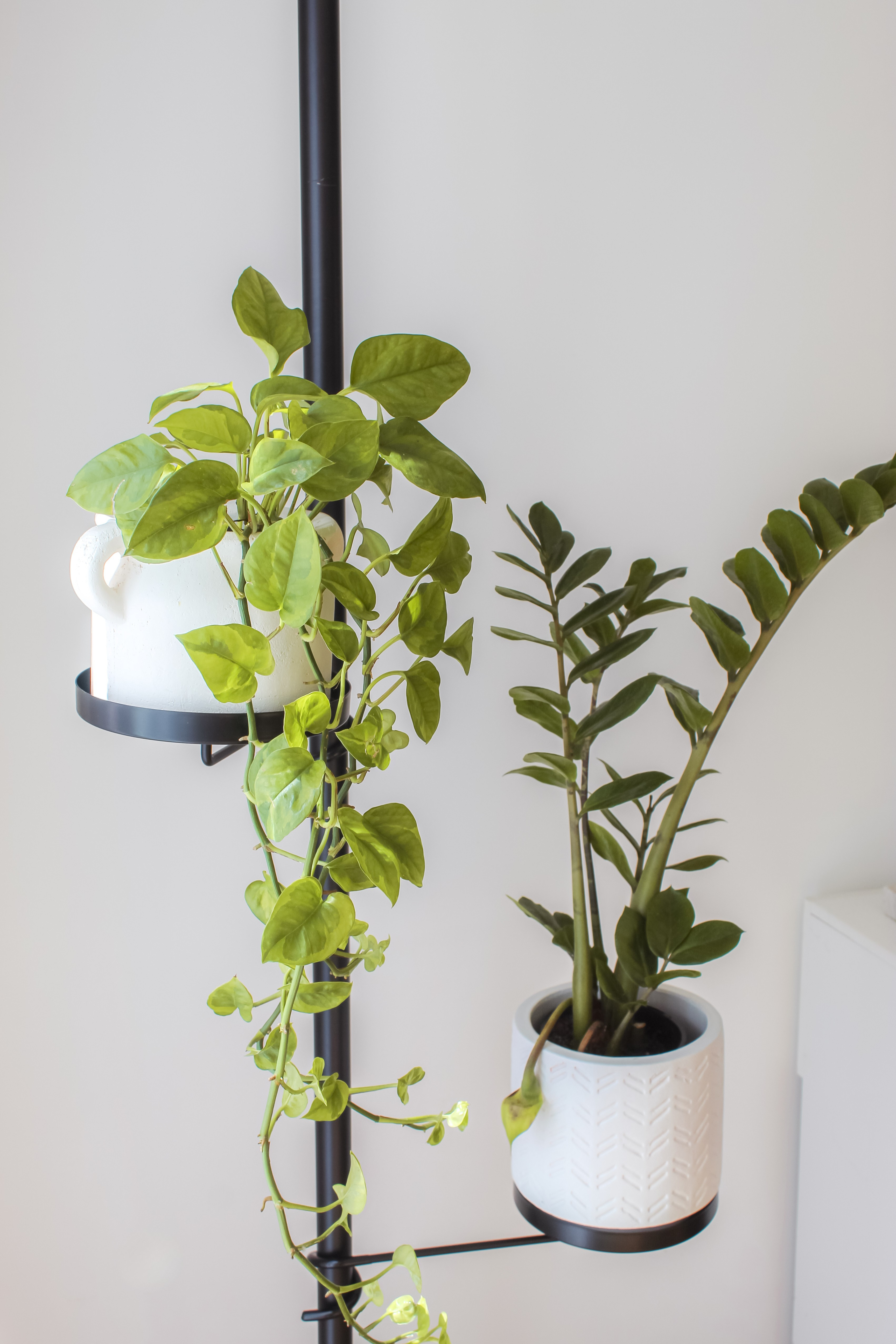 Trays Tension Plant Stand