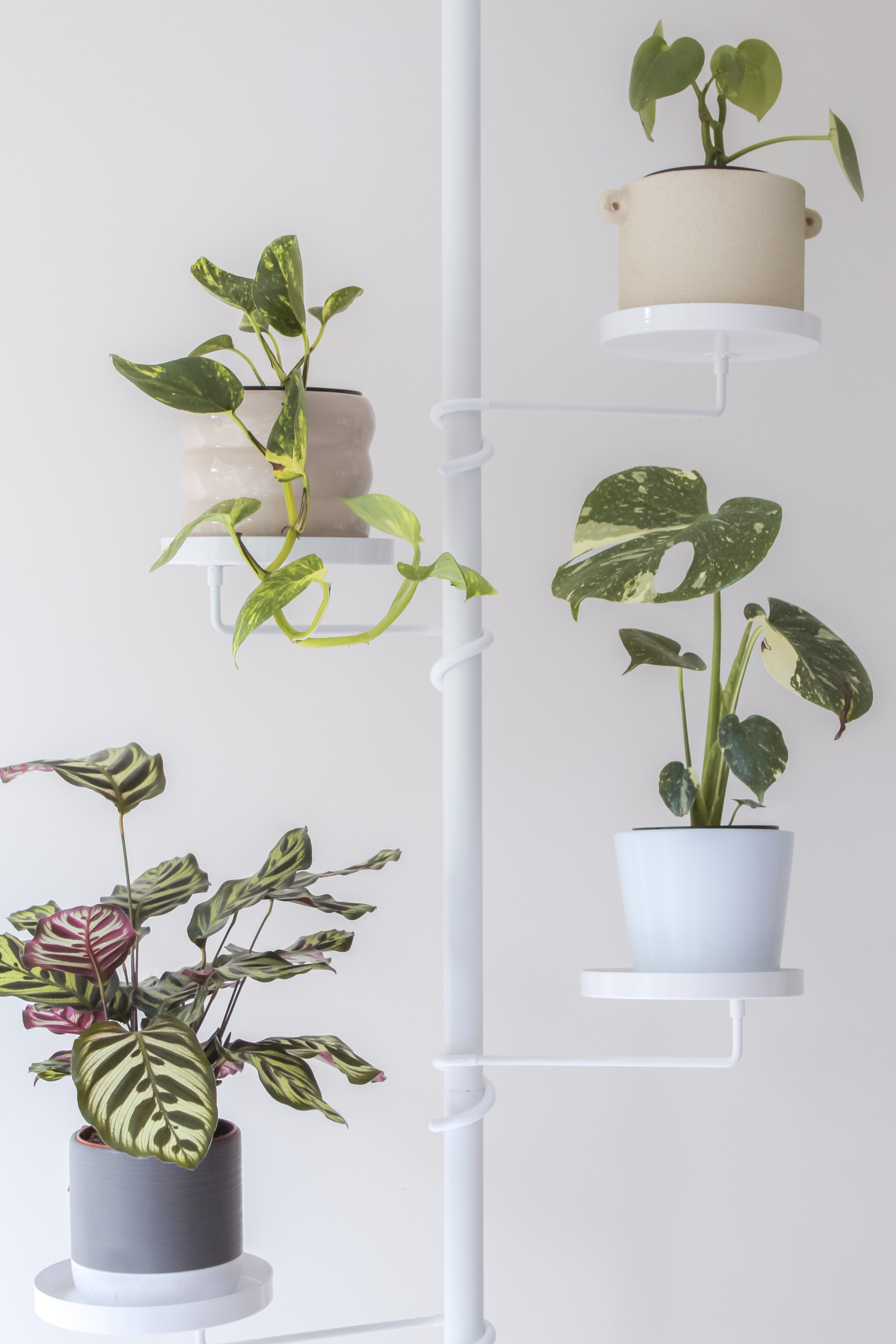 indoor plant tension pole australia Trays Tension Plant Stand