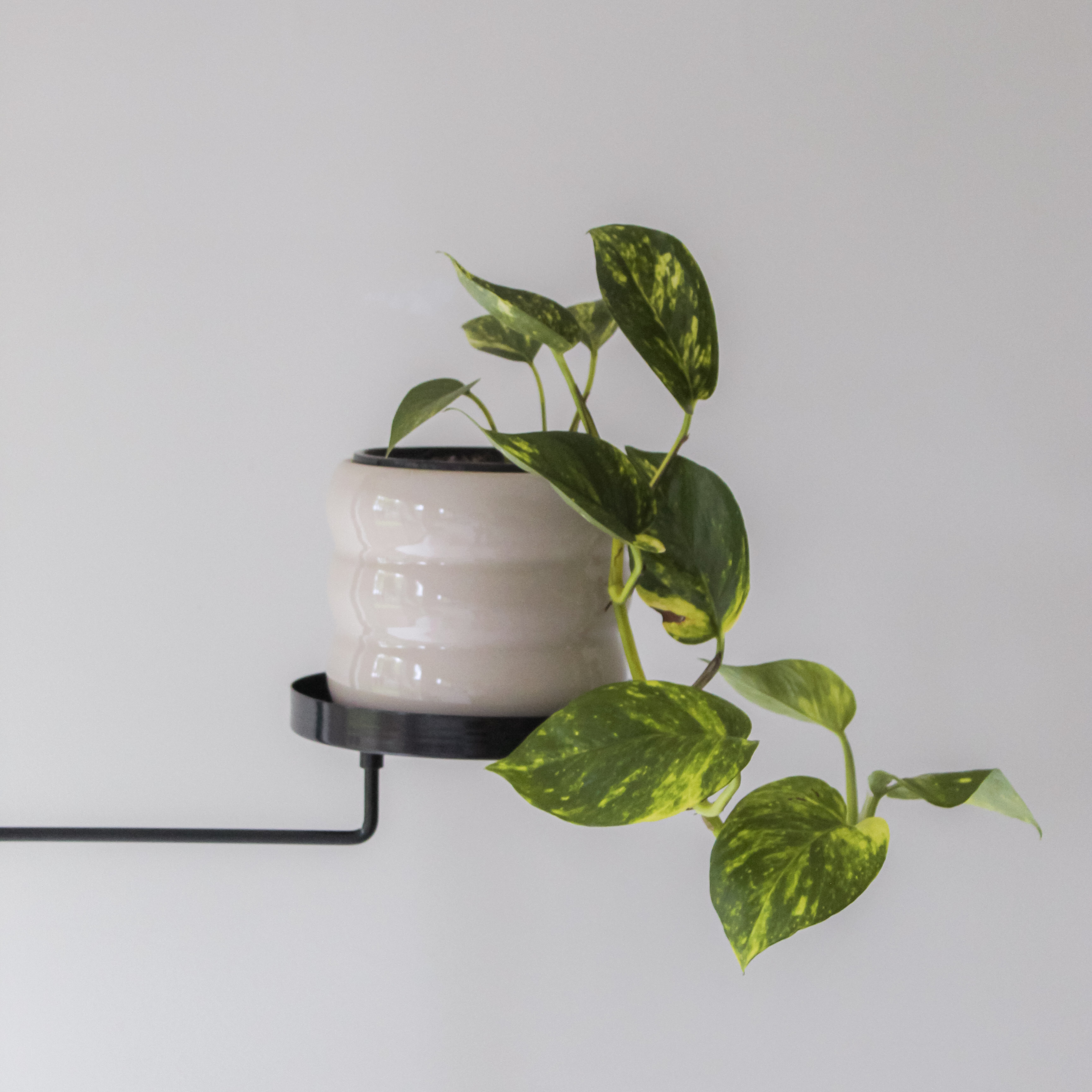 Trays Tension Plant Stand