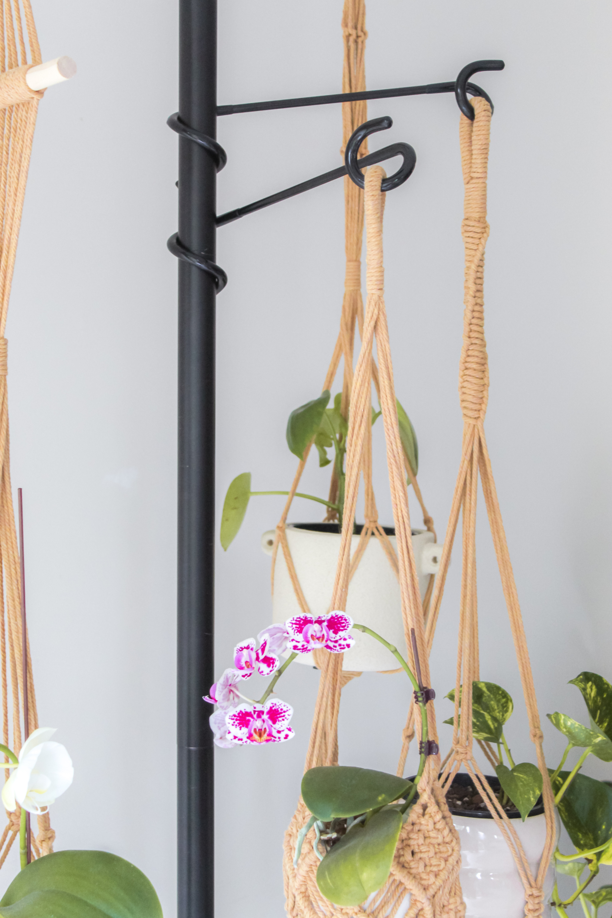 indoor plant tension pole australia Hooks Tension Plant Stand