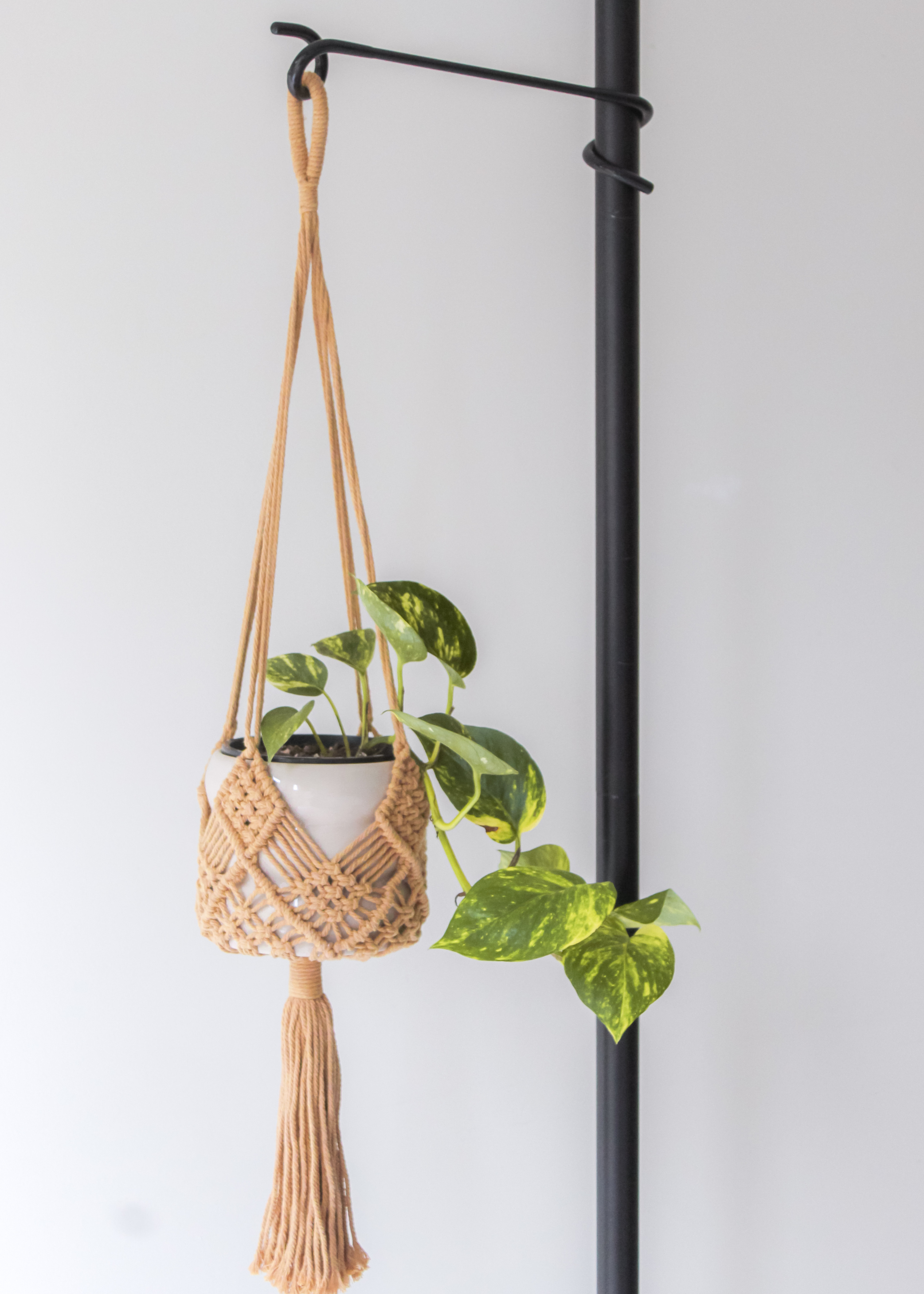 Hooks Tension Plant Stand