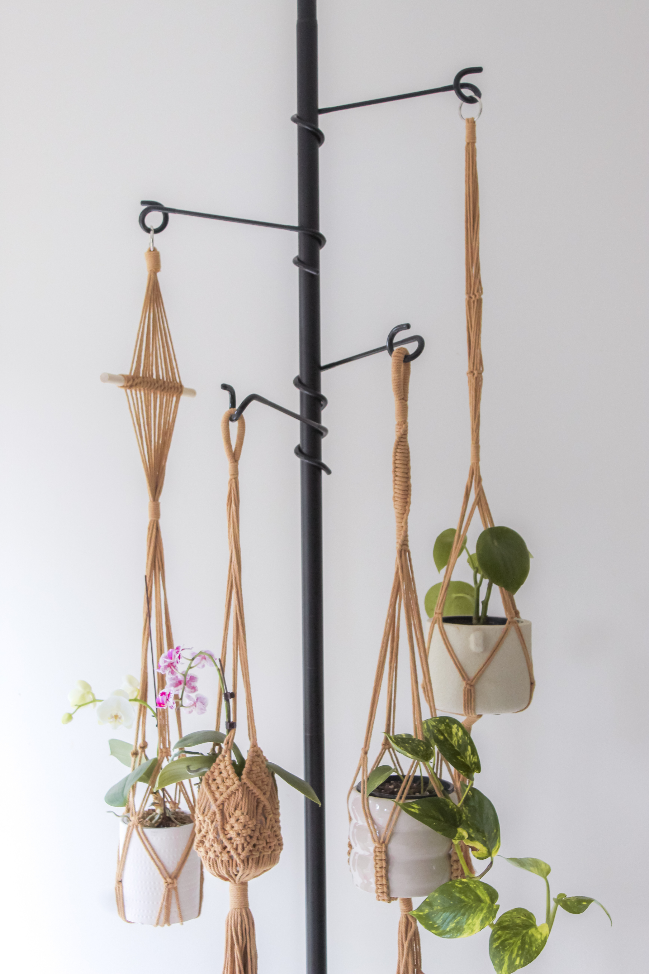 hanging plant stand australia Hooks Tension Plant Stand