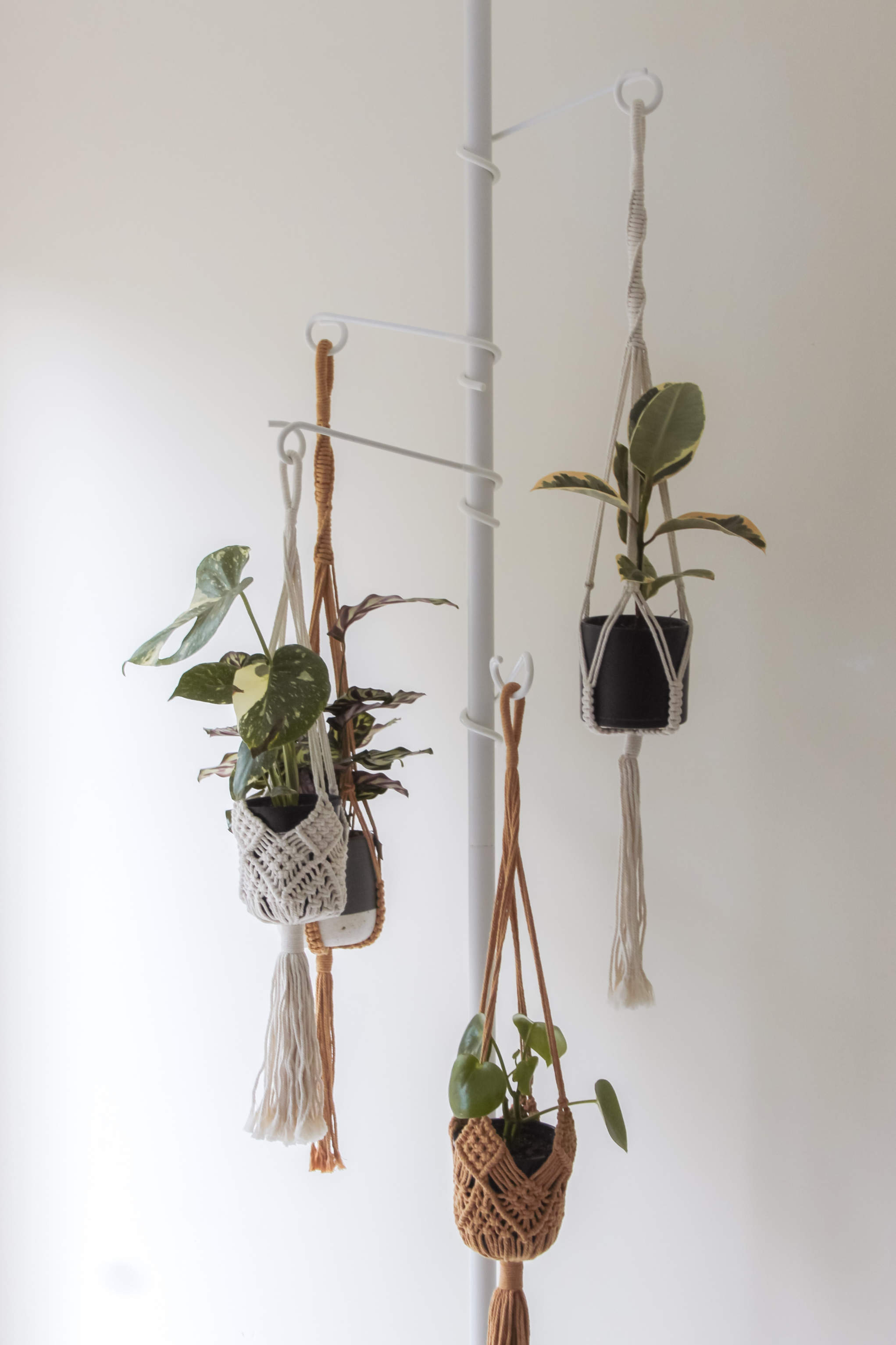 indoor plant tension pole australia Hooks Tension Plant Stand