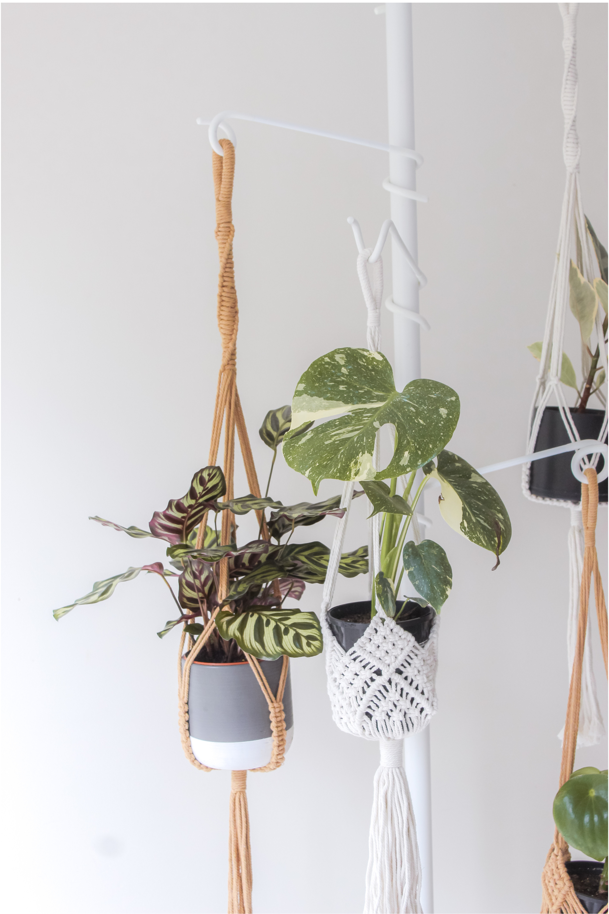 tension plant hanger Hooks Tension Plant Stand
