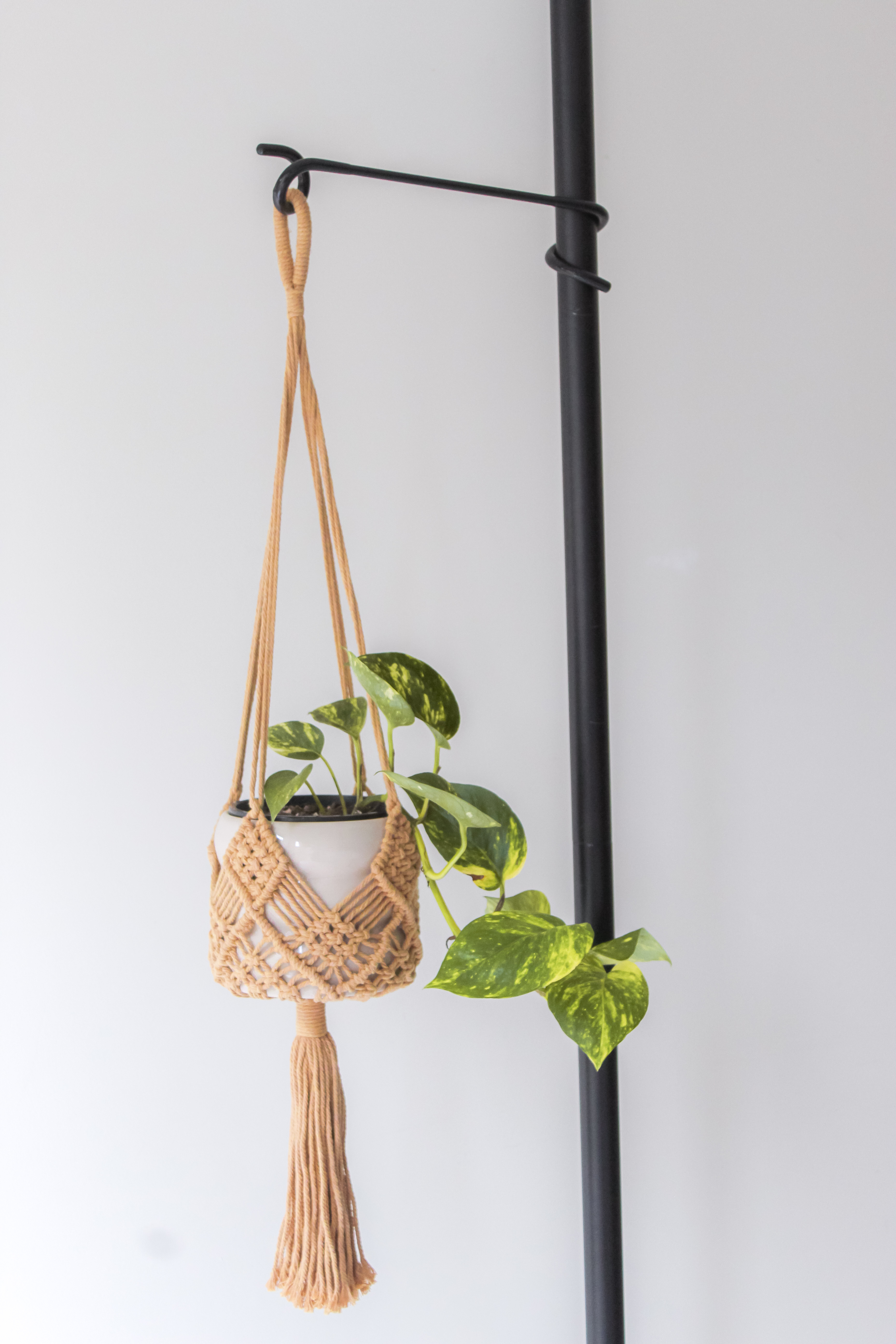 Hooks Tension Plant Stand