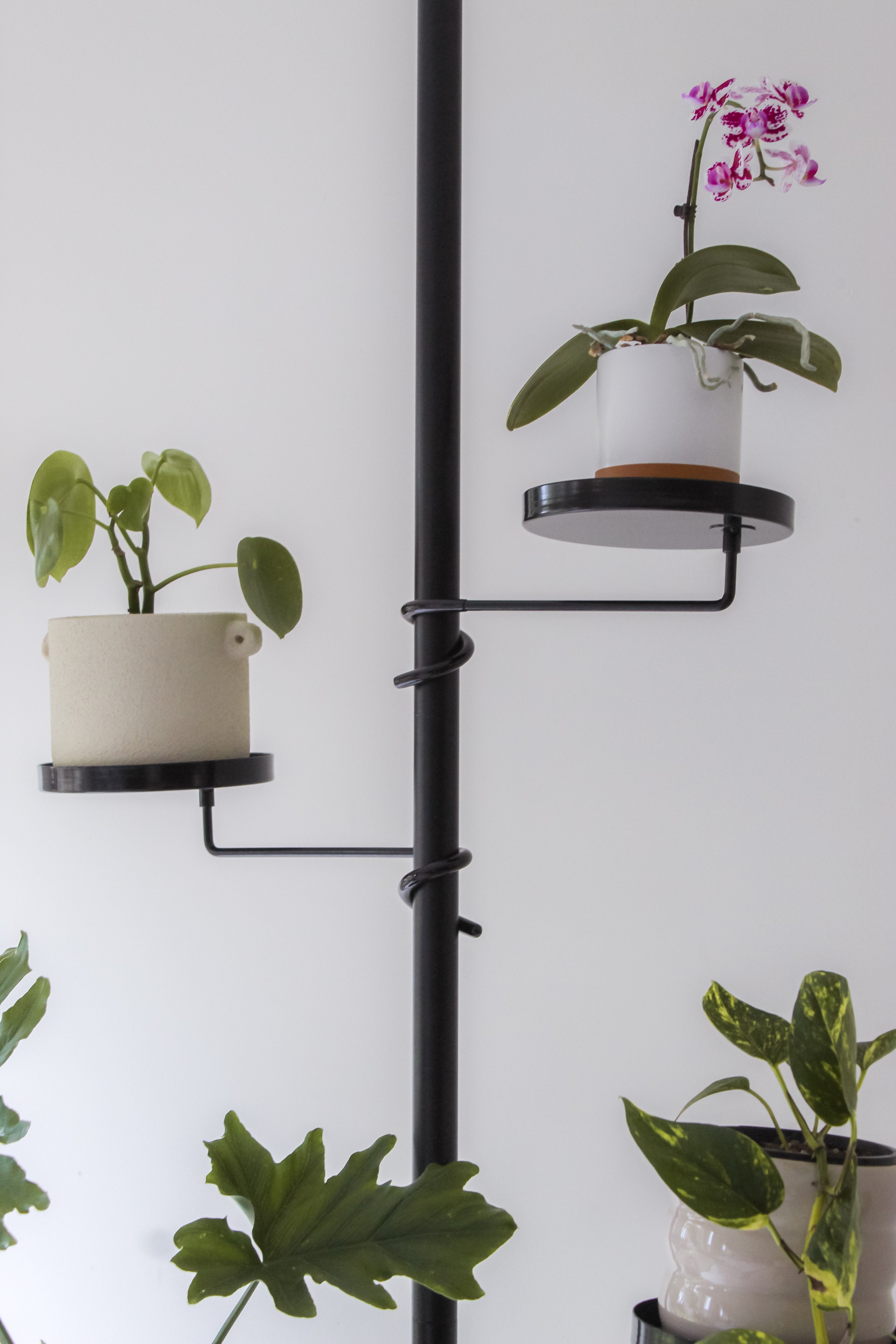 tension rod for hanging plants Trays Tension Plant Stand – Casa Flore