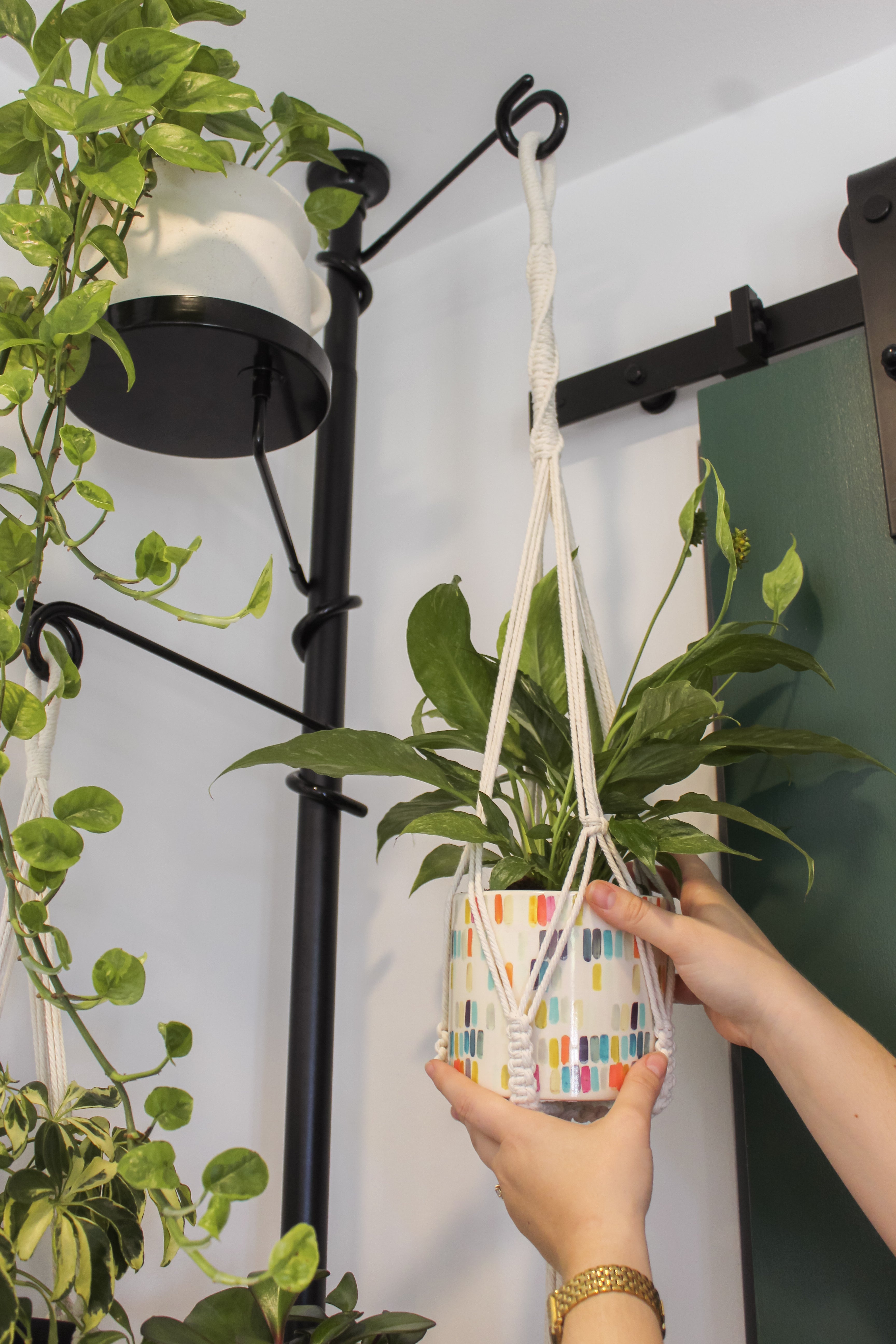 window rod plant hanger Hooks Tension Plant Stand – Casa Flore