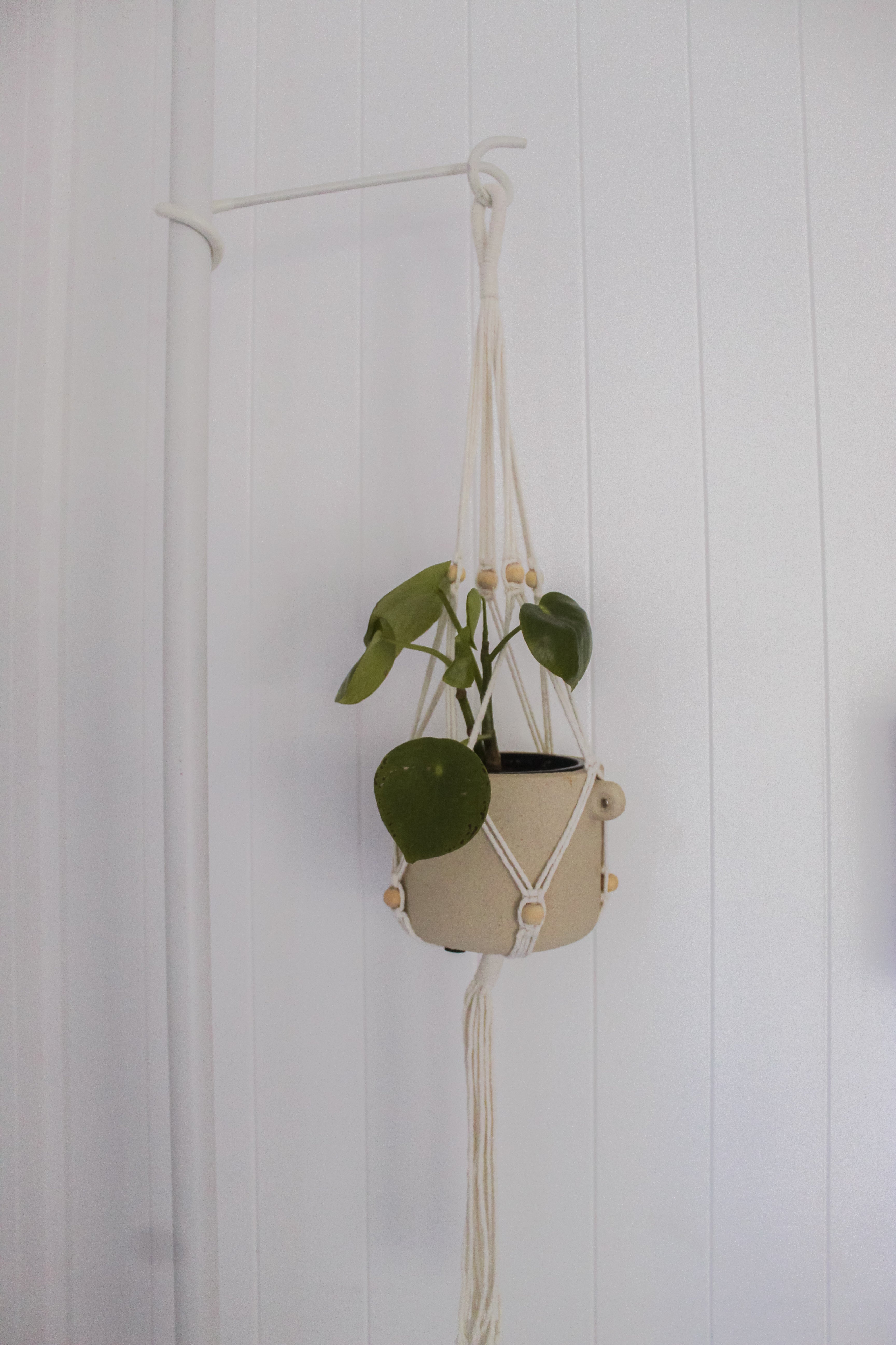 Macramés (Set with TWO)