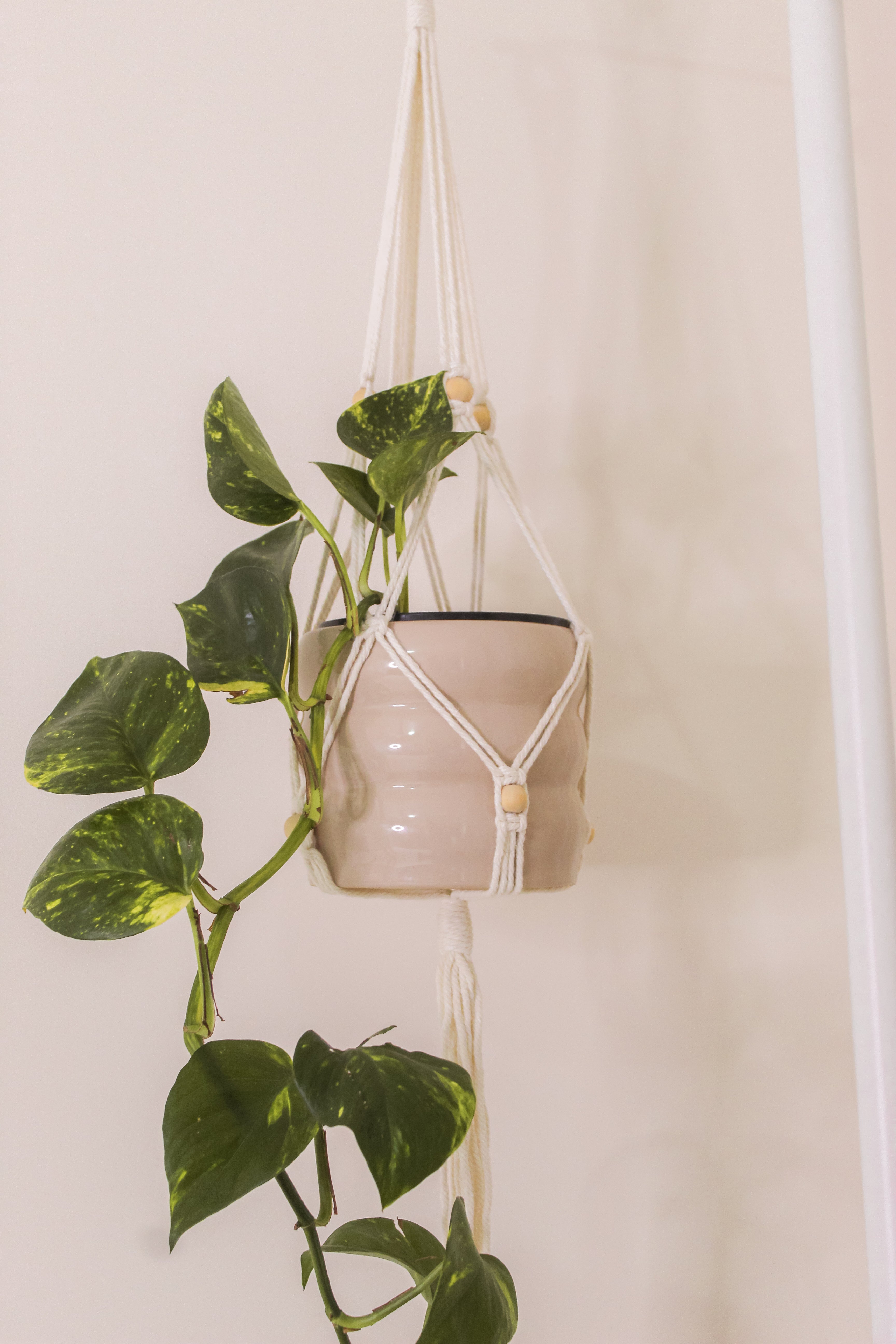 Macramés (Set with TWO)