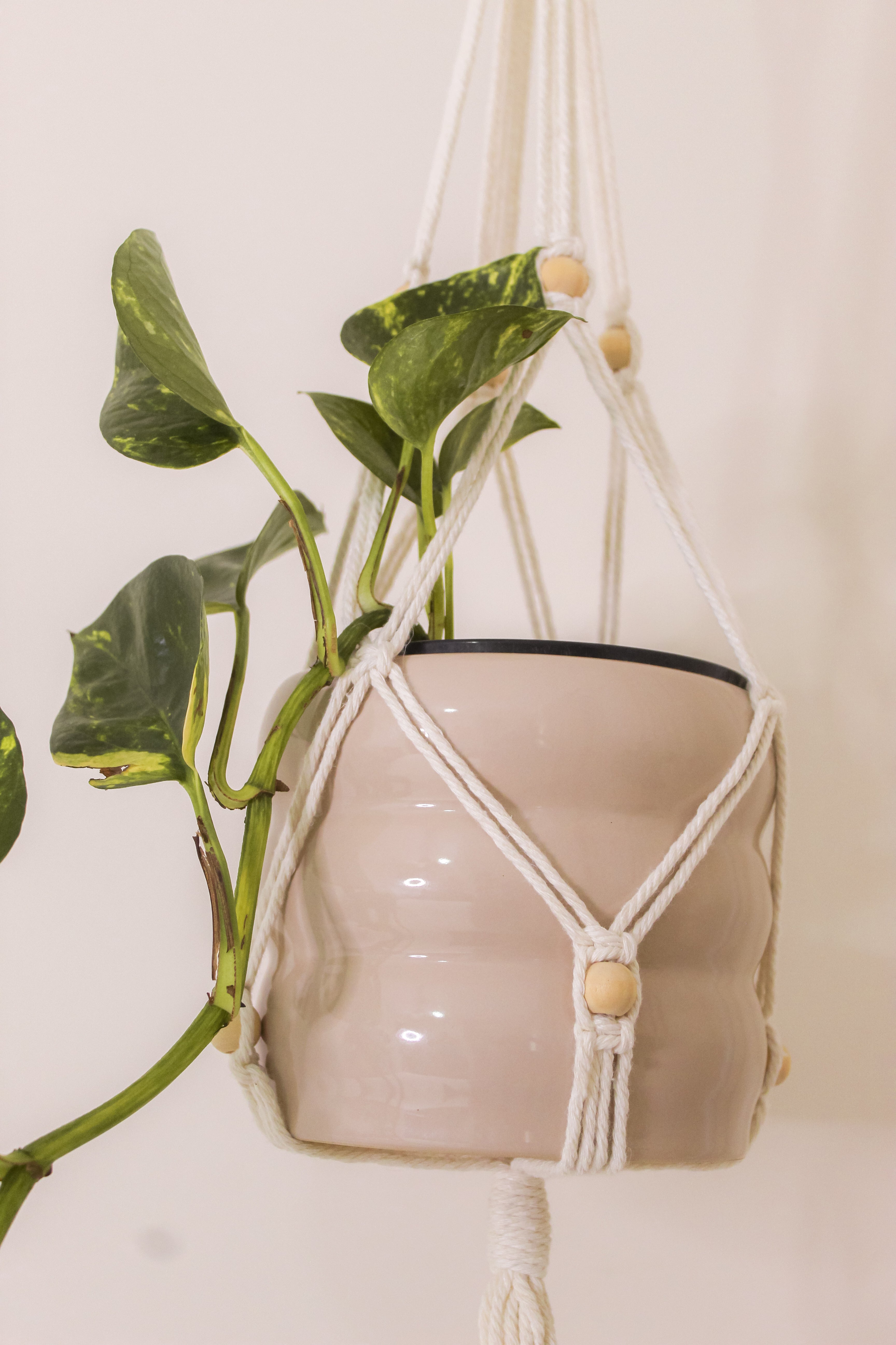 Macramés (Set with TWO)