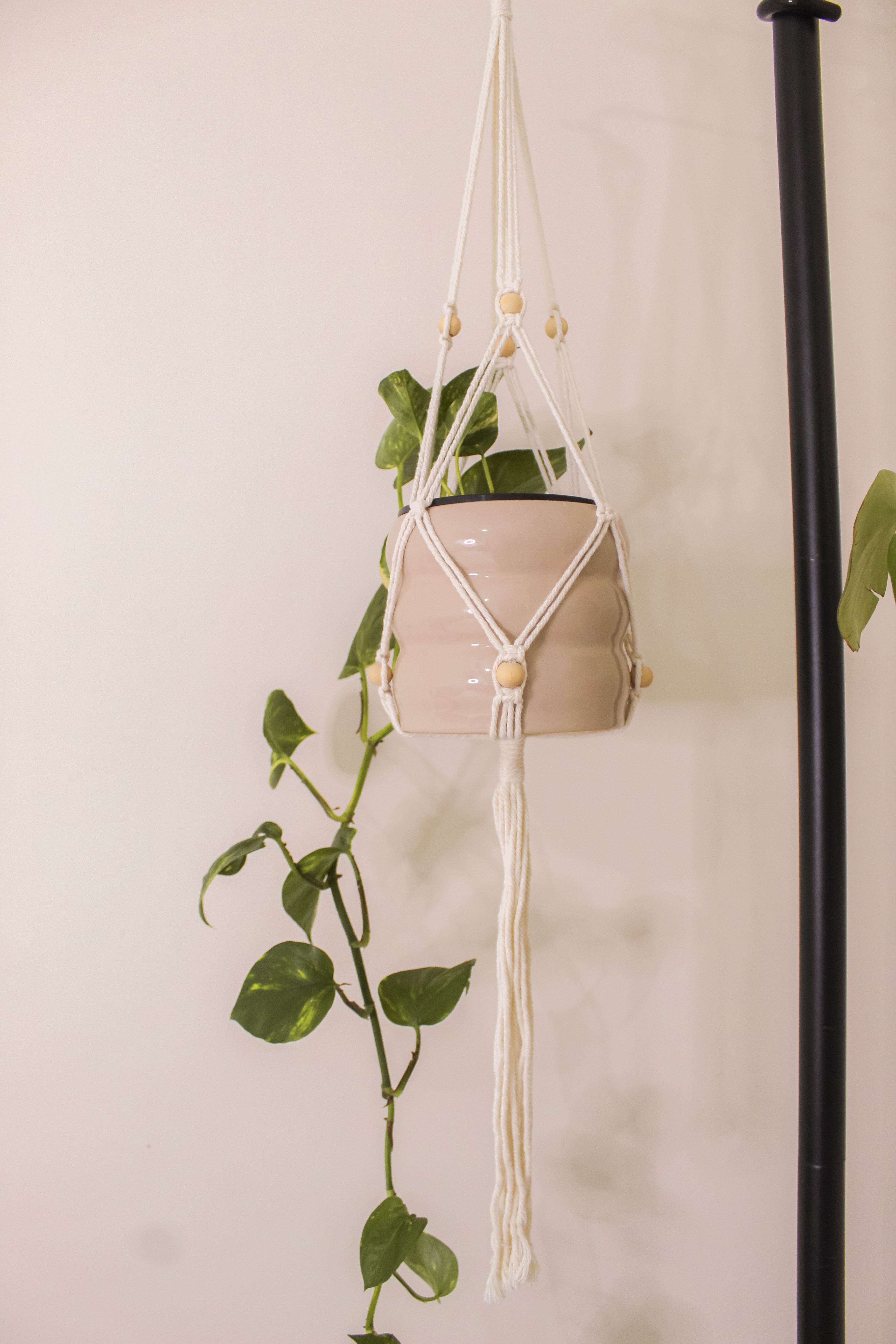 Macramés (Set with TWO)