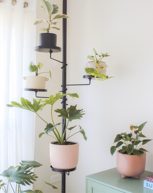 Trays Tension Plant Stand